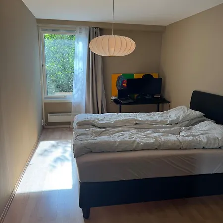 Large And Cozy - Walking Distance To Everything 公寓 奥斯陆